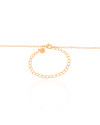 Choker Elos Trevo Preto Banhado a Ouro 18K