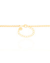 Gargantilha Ferradura Cavalo Cravejado Cristal Banhado a Ouro 18K - 45 cm