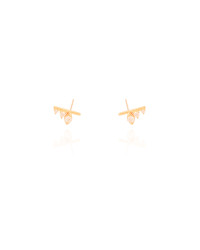 Brinco Graveto Pontos de Luz Cristal Banhado a Ouro 18K